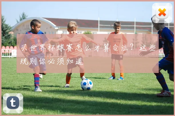 买世界杯球赛怎么才算合法？这些规则你必须知道