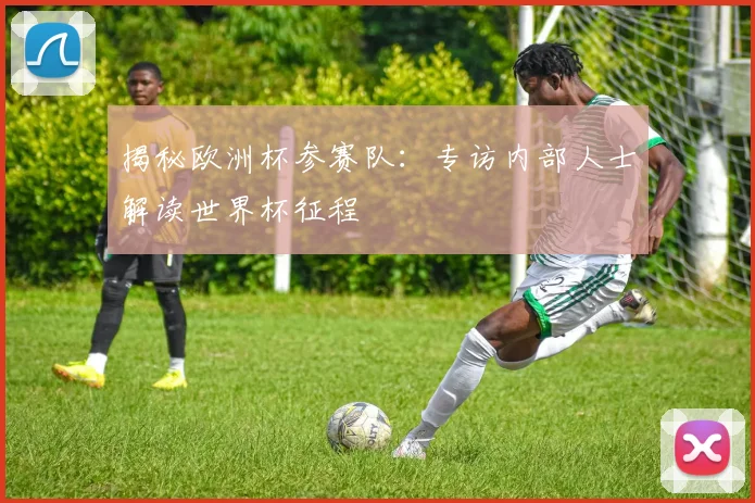 揭秘欧洲杯参赛队：专访内部人士解读世界杯征程